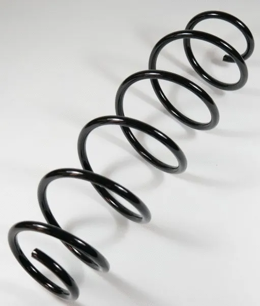 Suspension Spring (66950)