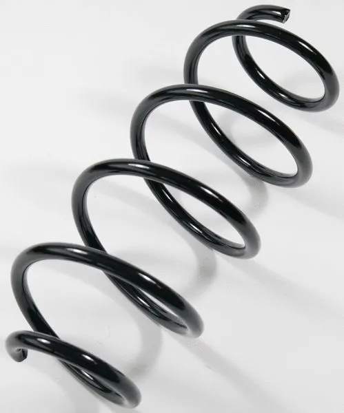 Suspension Spring (66665)
