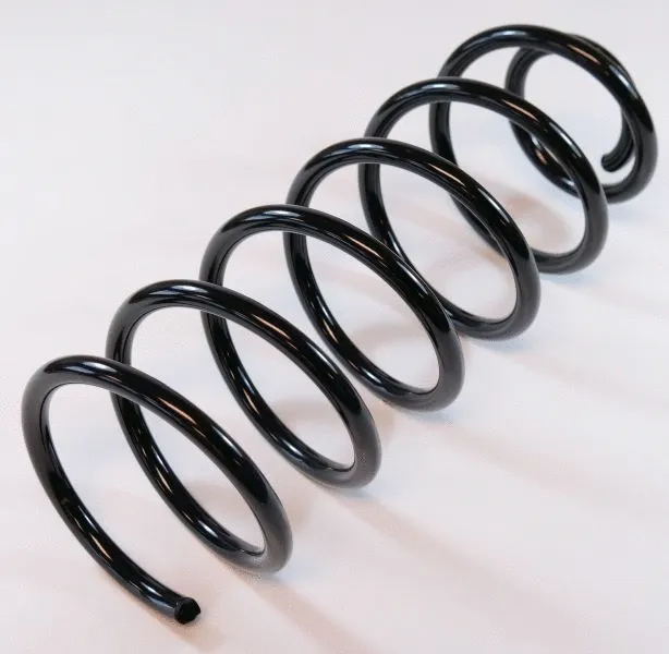 Suspension Spring (61538)