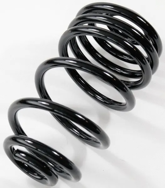 Suspension Spring (67171)