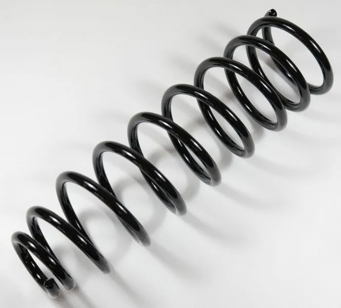 Suspension Spring (64407)