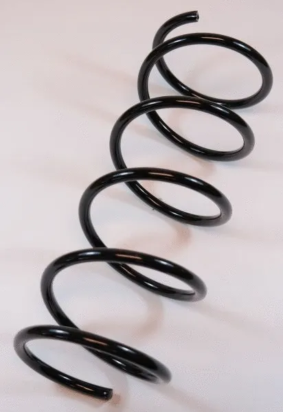 Suspension Spring (66723)