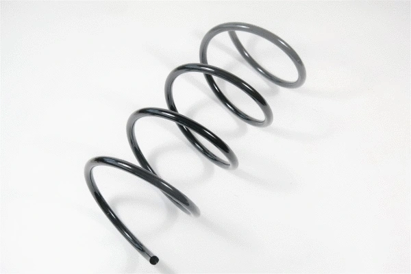 Suspension Spring (66895)