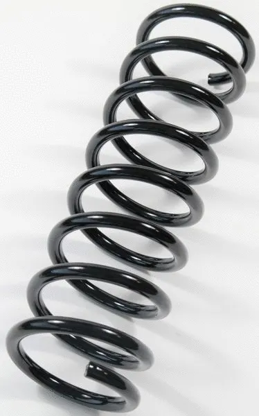 Suspension Spring (66855)