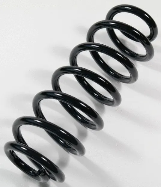 Suspension Spring (67355)