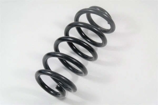 Suspension Spring (67301)