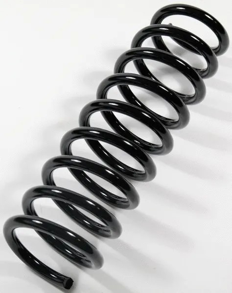 Suspension Spring (67370)