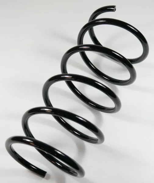 Suspension Spring (66496)