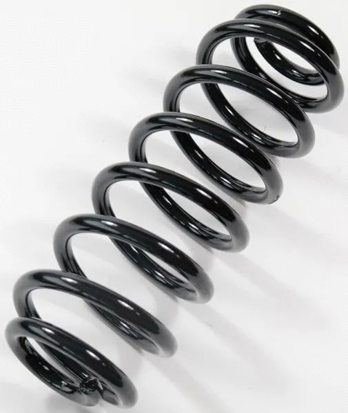 Suspension Spring (64197)