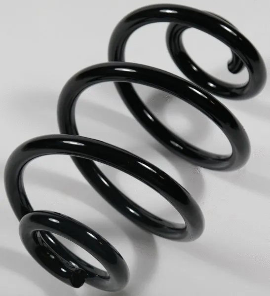 Suspension Spring (66787)