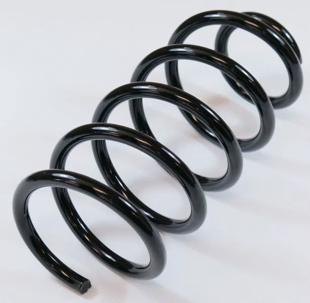 Suspension Spring (62921)