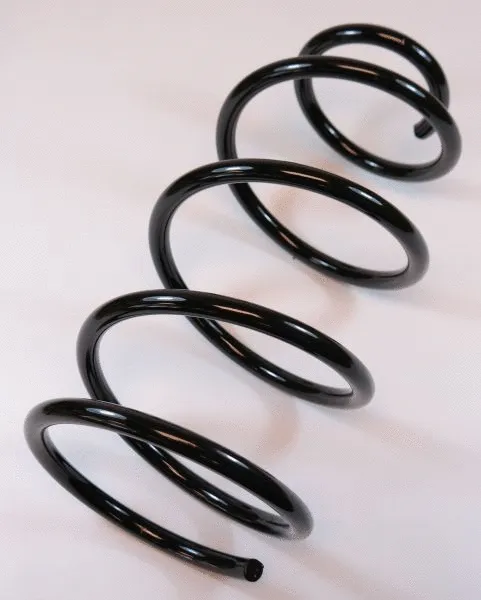 Suspension Spring (64028)