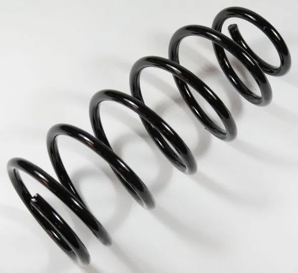 Suspension Spring (66113)