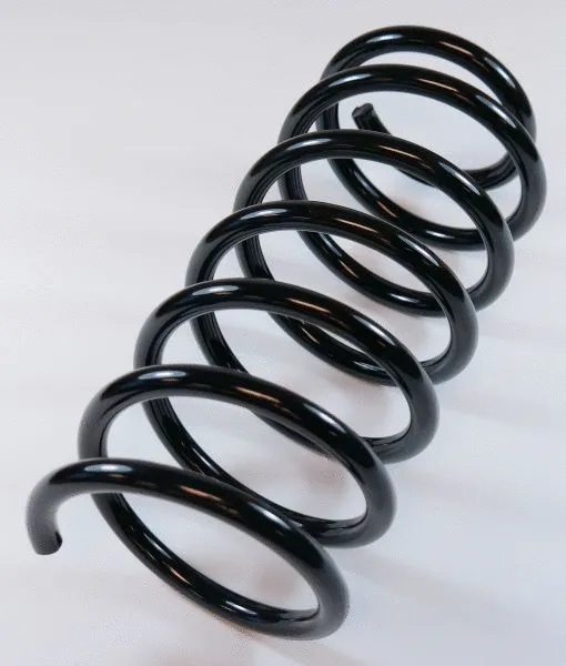 Suspension Spring (64221)