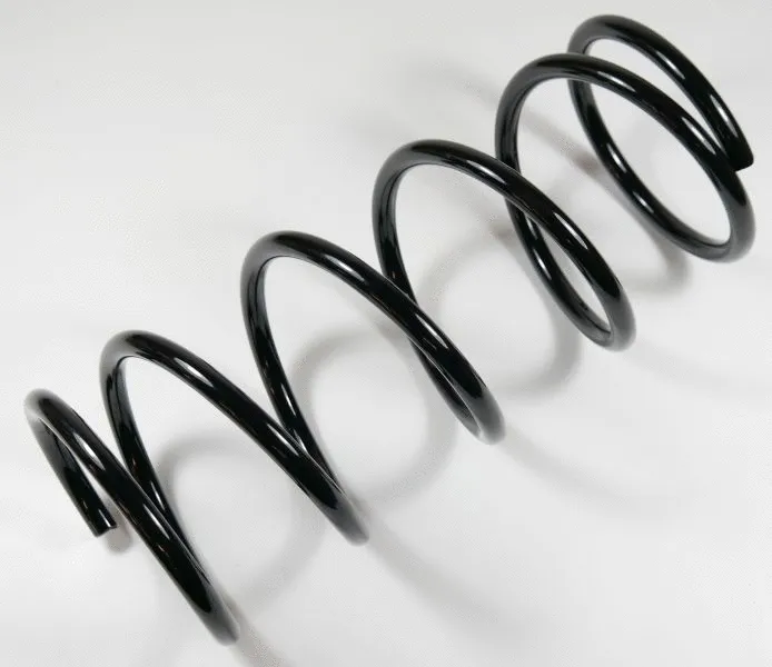 Suspension Spring (62807)