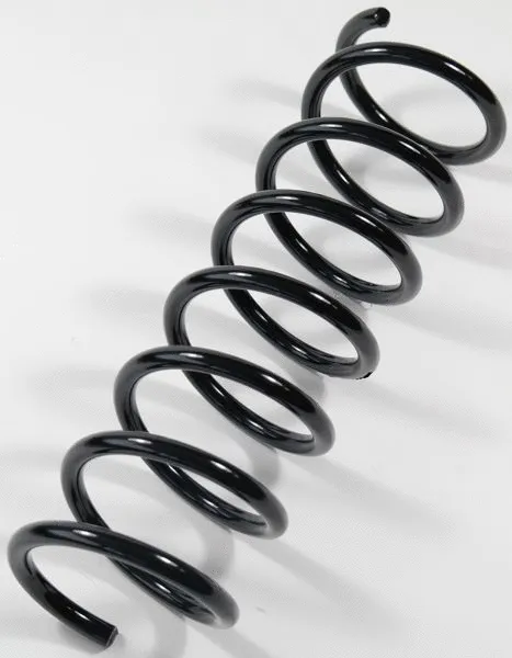 Suspension Spring (66991)