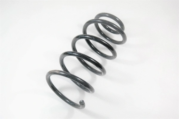 Suspension Spring (63045)