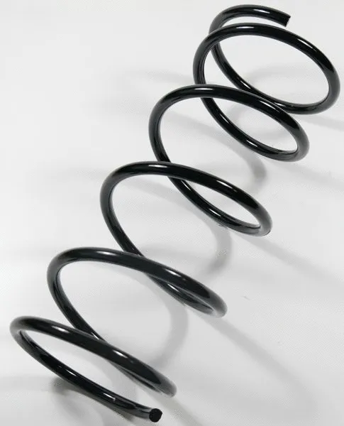 Suspension Spring (61633)