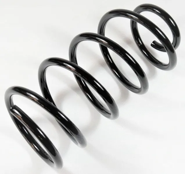 Suspension Spring (64589)