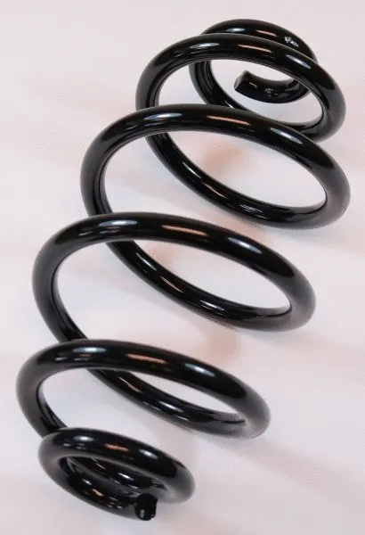 Suspension Spring (66184)