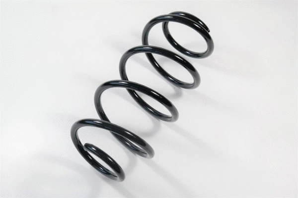 Suspension Spring (67256)