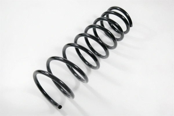 Suspension Spring (62971)