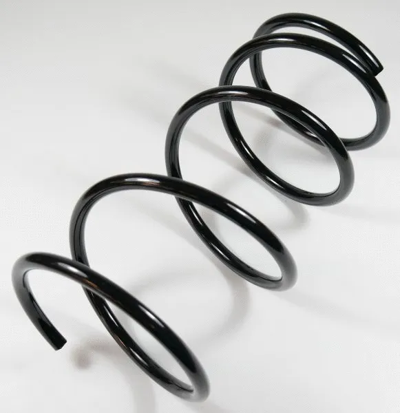 Suspension Spring (63861)