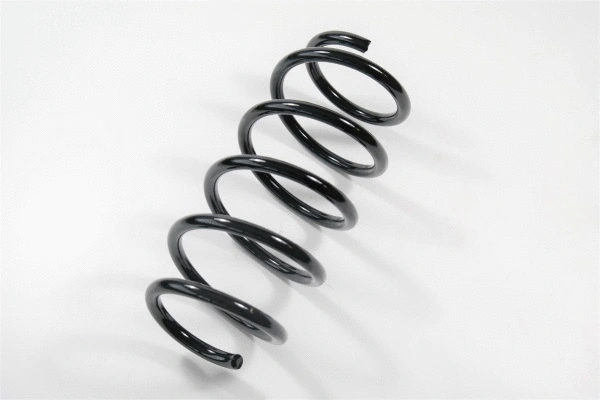 Suspension Spring (64654)