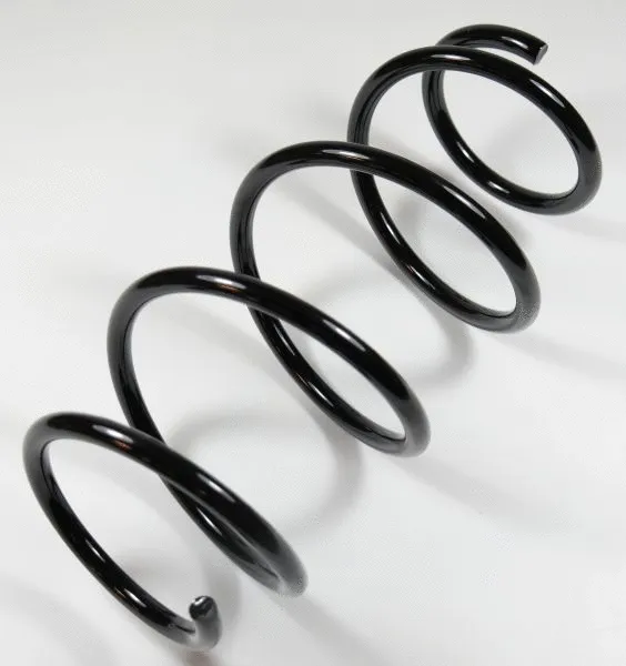 Suspension Spring (58702)