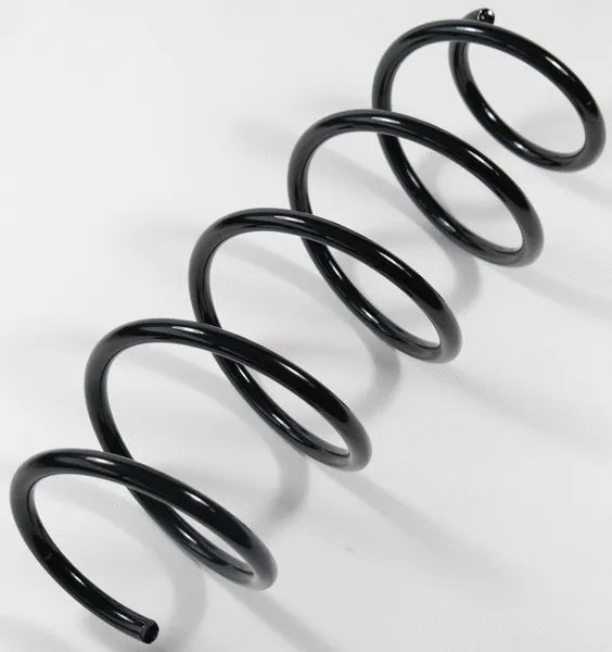 Suspension Spring (66724)