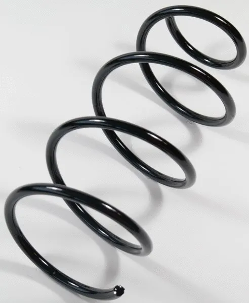 Suspension Spring (67109)