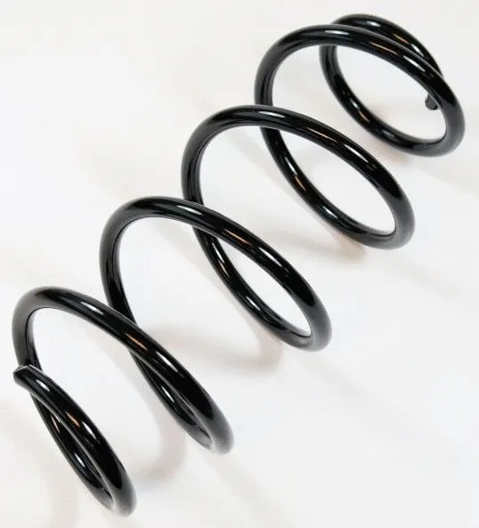 Suspension Spring (58776)