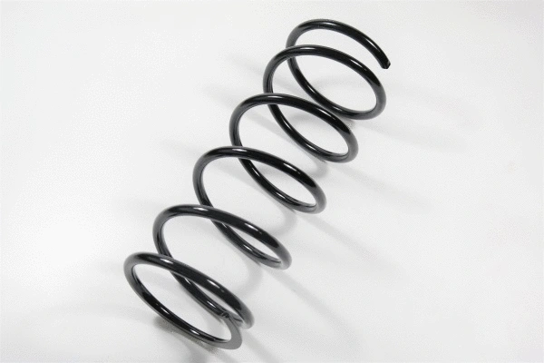 Suspension Spring (61021)