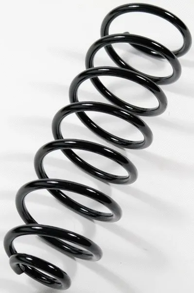 Suspension Spring (67079)