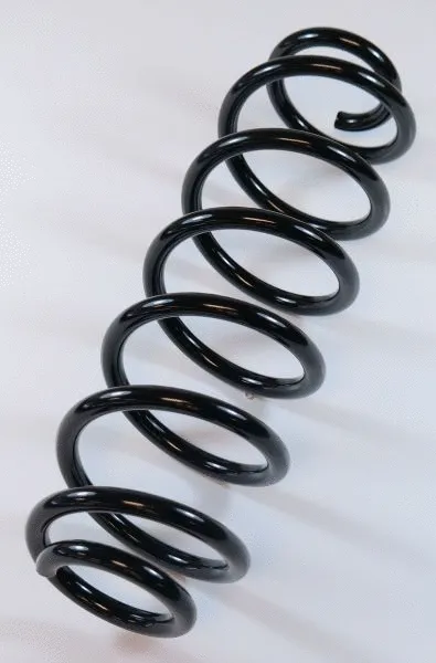 Suspension Spring (66725)