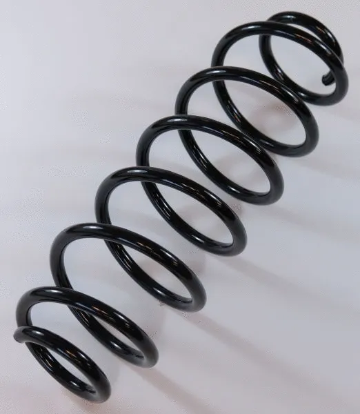 Suspension Spring (63863)