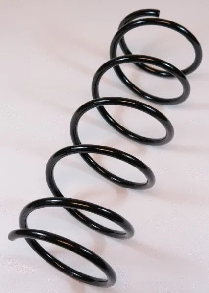 Suspension Spring (62678)