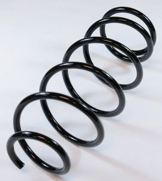 Suspension Spring (63717)