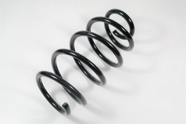 Suspension Spring (58714)