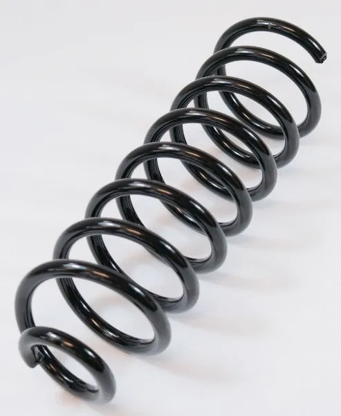 Suspension Spring (64363)