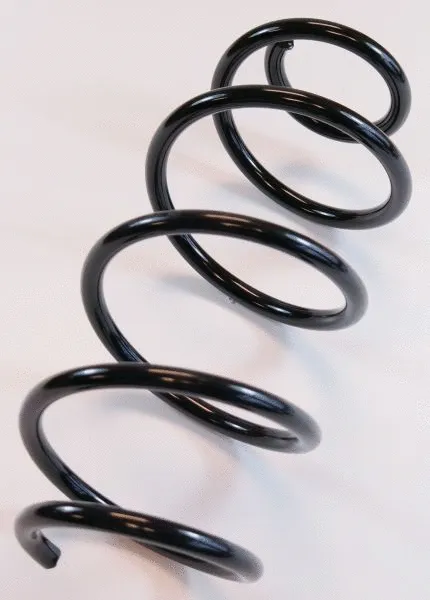 Suspension Spring (58778)