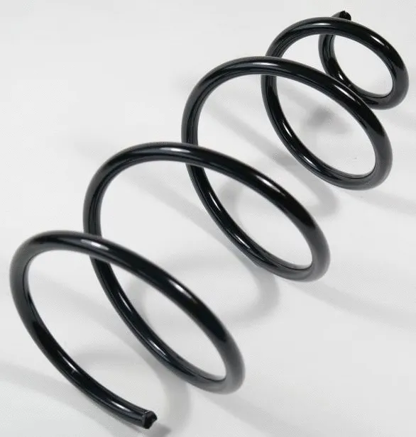 Suspension Spring (67037)