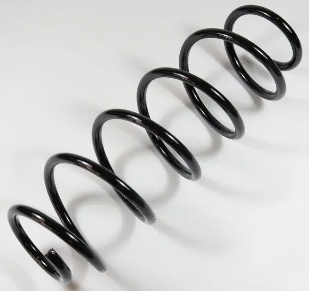 Suspension Spring (58742)