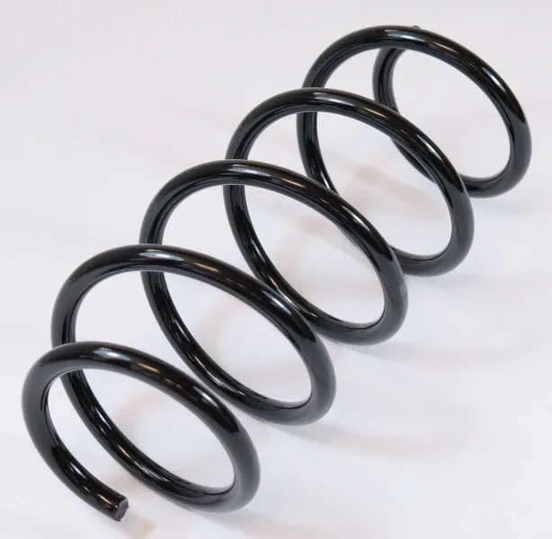 Suspension Spring (63253)