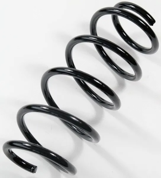 Suspension Spring (67203)