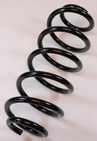 Suspension Spring (62674)