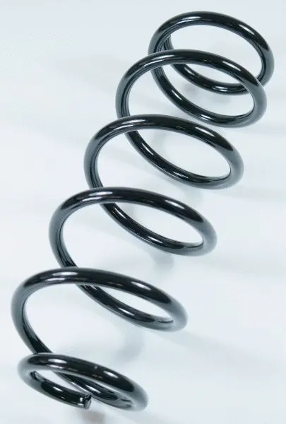 Suspension Spring (64562)