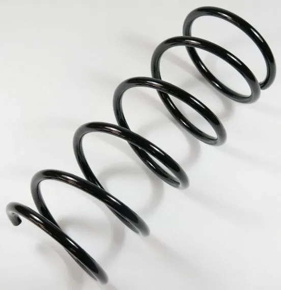 Suspension Spring (66906)