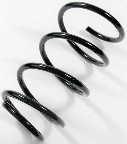 Suspension Spring (64135)