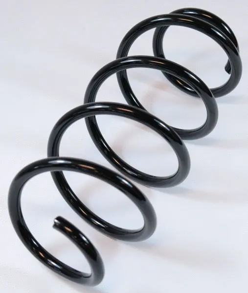 Suspension Spring (67205)
